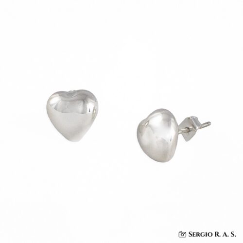 Boucles d'oreilles argent 925/1000 - 41520