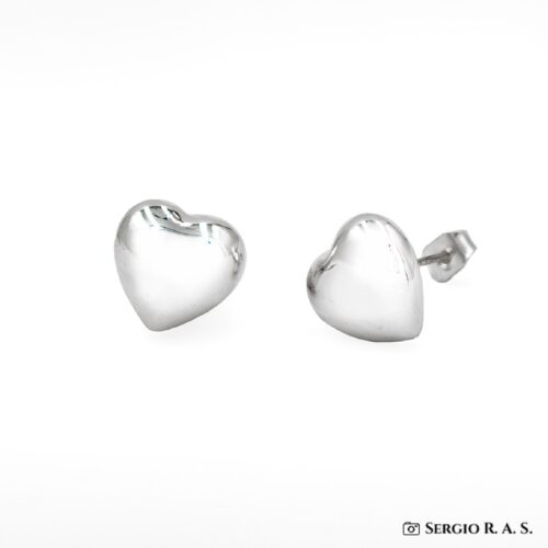 Boucles d'oreilles argent 925/1000 - 41521