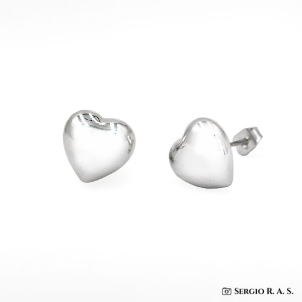 Boucles d'oreilles argent 925/1000 - 41521