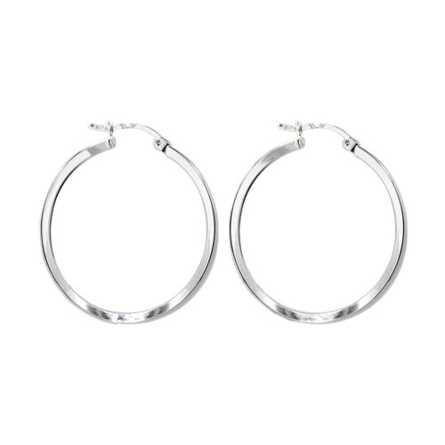 Boucles d'oreilles argent 925/1000 - 48037