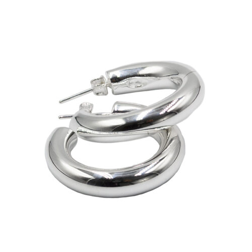 Boucles d’oreilles argent 925/1000 - 15710