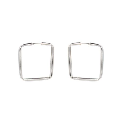 Boucles d’oreilles argent 925/1000 - 26570