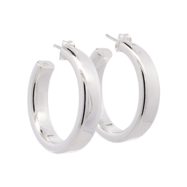 Boucles d’oreilles argent 925/1000 – 30850